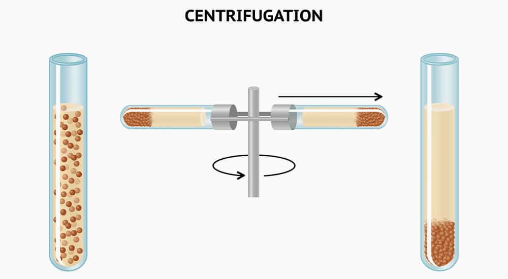 Removed fat is transferred to a special centrifuge where it is spun down and purified to not contain blood and other unwanted tissues.