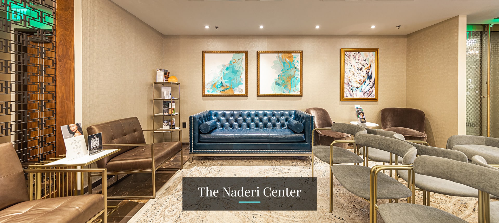 the-naderi-center-video