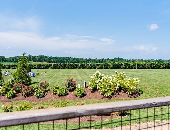 Stone Tower Winery