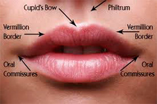 Lip Enhancement (Lip Augmentation) Town Center